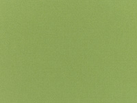 Sunbrella Palm | 5421-0000